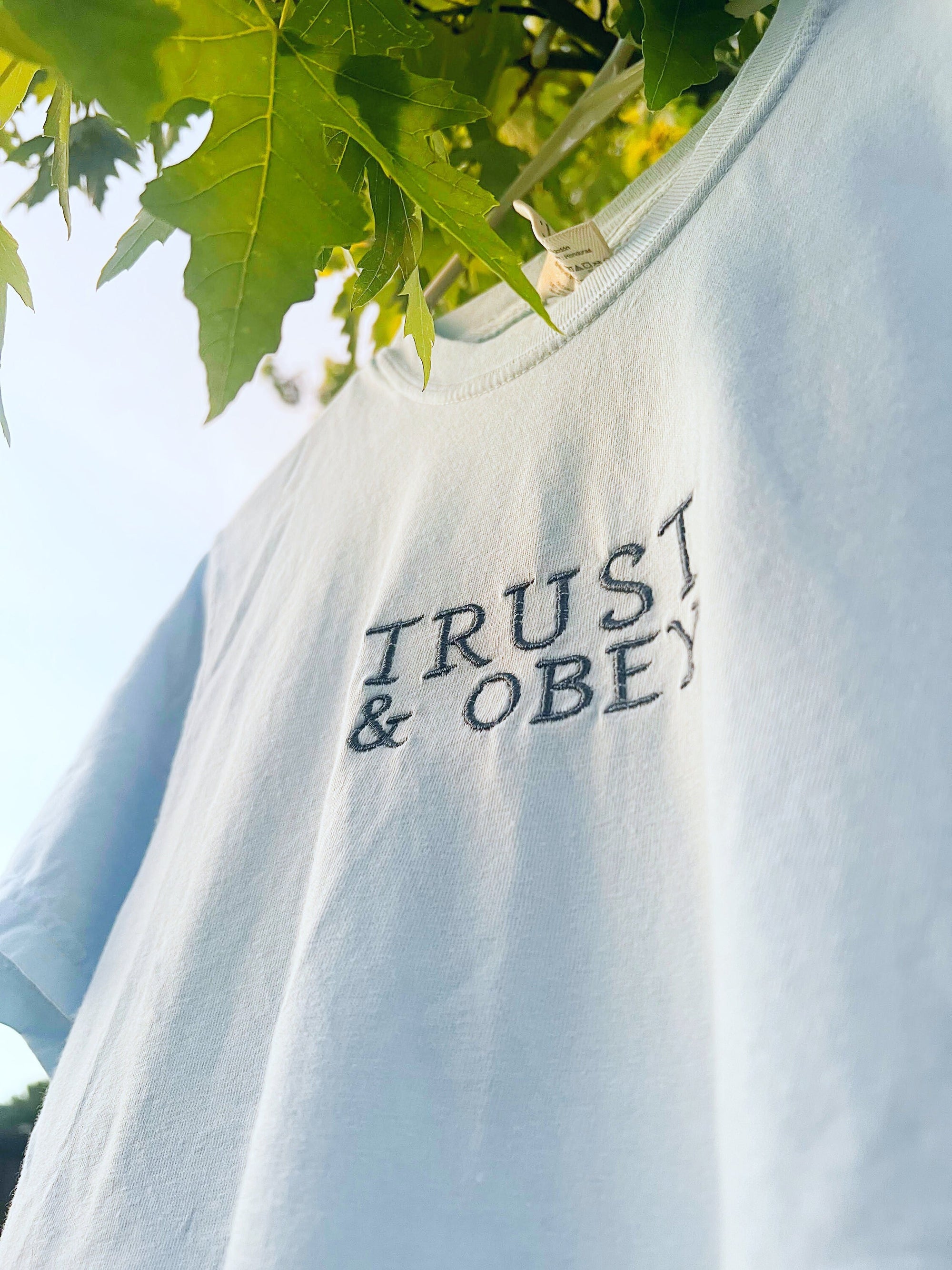 "Trust and Obey" Comfort Colors T-Shirt
