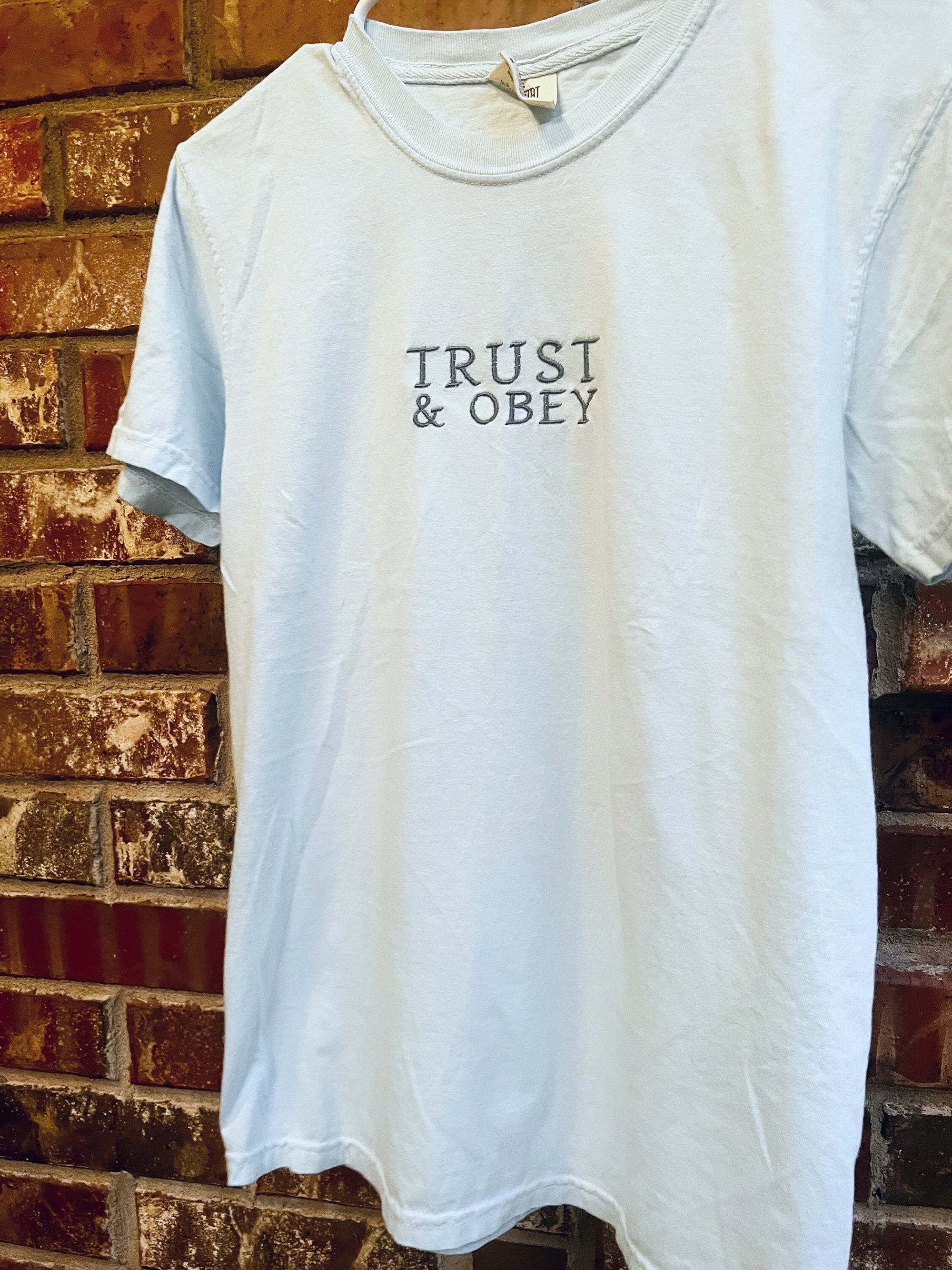 "Trust and Obey" Comfort Colors T-Shirt